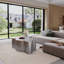 Stainless Steel Top Coffee Table