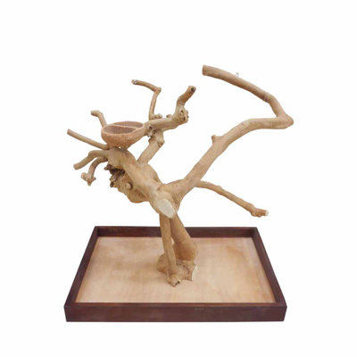 One-of-a-Kind 24'' Bird Play Stand for Table Top