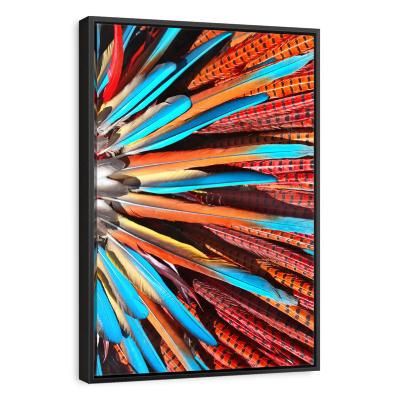 Plumes de bonnet amérindien, 9 po x 13 po, Cadre flottant noir