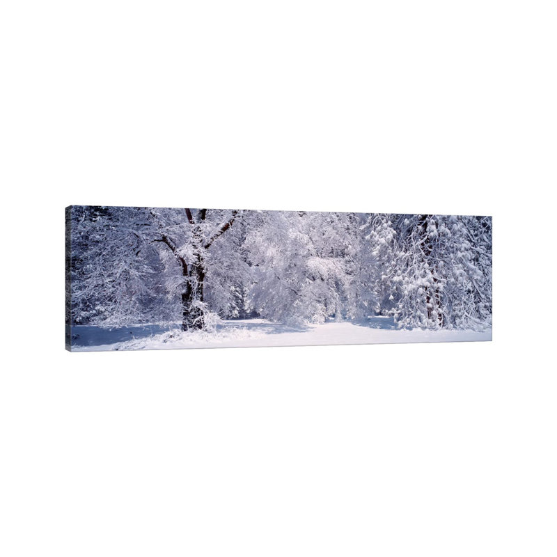 Snowy Winter Landscape, Yosemite National Park, California, USA by Panoramic Images - Wrapped Canvas Panoramic Print