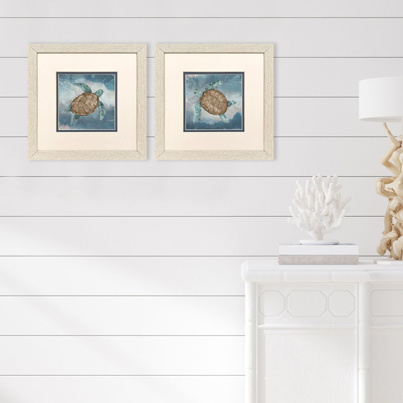 Tortue itinérante, art encadré