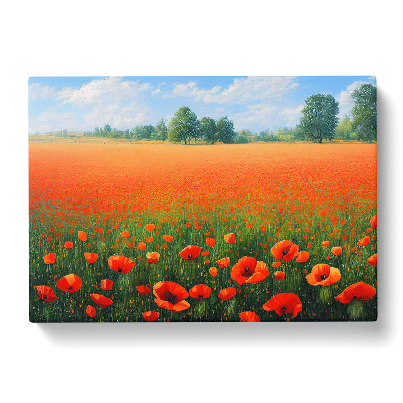 Desirable Poppy Field Flowers - Wrapped Canvas, 50cm H x 76cm W x 3cm D