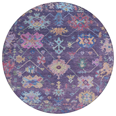 Machine Washable Indoor/Outdoor Kaczor ACN2234 Global Rug