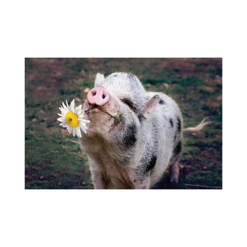 Miss Daisy by Karen Burke - Wrapped Canvas Print, 20.32cm H x 30.48cm W x 1.91cm D