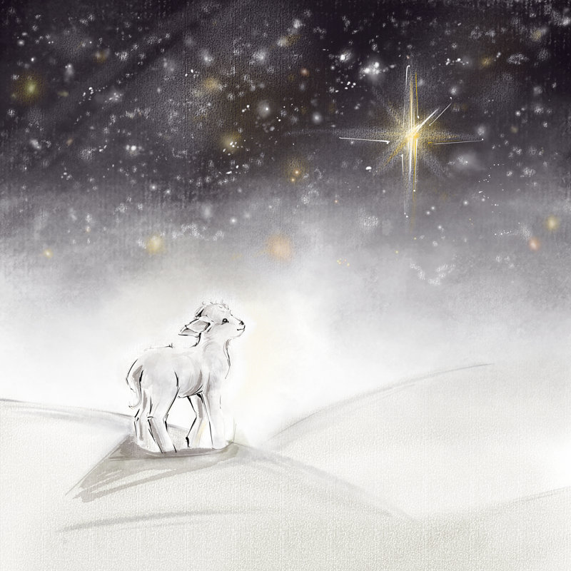 Shalisa Christmas Card by Yuliya Kokorina - Wrapped Canvas Print, 51cm H x 51cm W x 3.8cm D