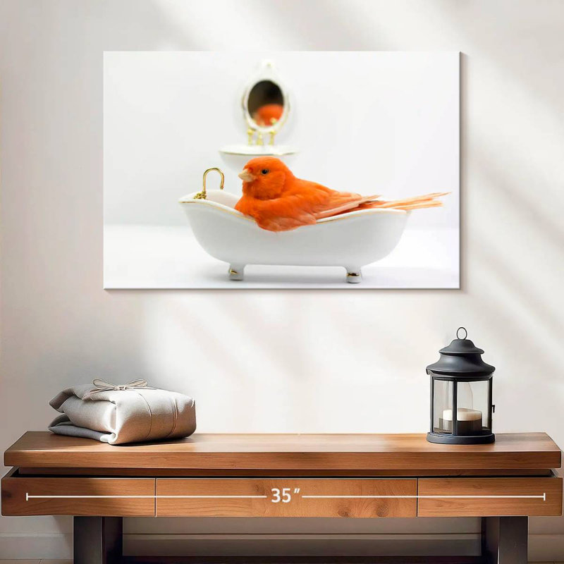 Brampt Bird Bath Time, H 16 po x l 24 po