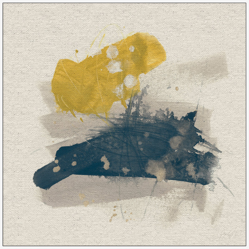 « dupins iii », reproduction d’art sur toile, H 48 po x l 48 po x P 1,5 po