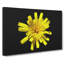 Yellow Flower - Wrapped Canvas Print-64019546