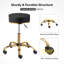 Adjustable Height Ergonomic Lab Stool with Footrest-115153805