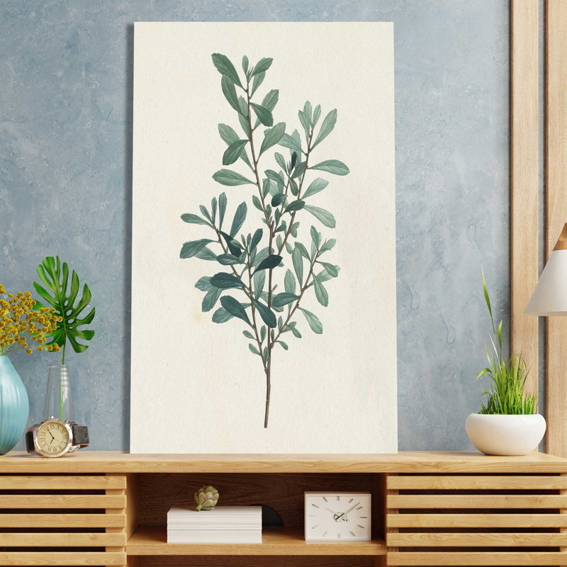 Victorian Garden Greenery I - Peinture, L 18 po x H 30 po, Toile tendue
