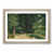 Oak Framed selected