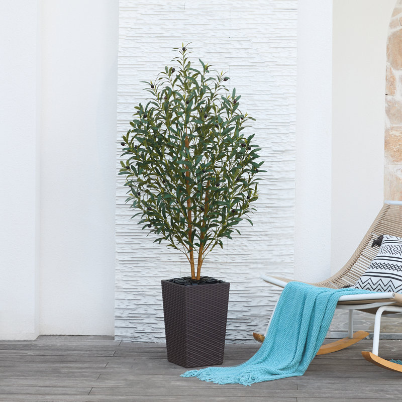 Adcock Faux Olive Tree with UV Protection, 2 Natural Tree Trunks, Large Decorative Potted Olive Tree, Brown