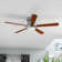 Waxler 52'' Ceiling Fan with LED Lights