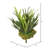13" Fern Plant