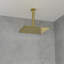 Pomme de douche à pluie 12 po-123845844