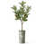 Vert botanique