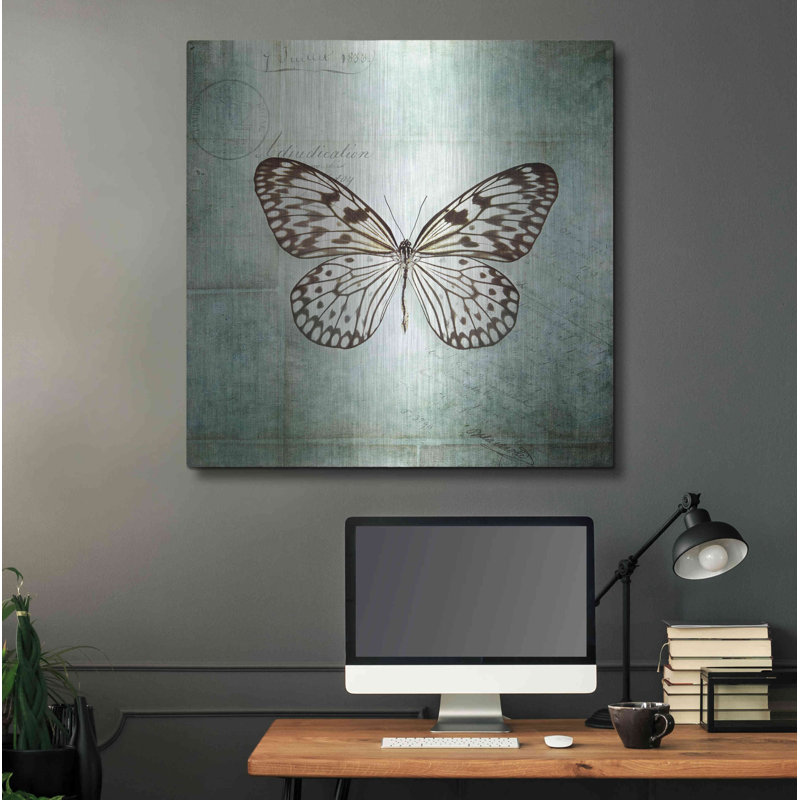 «French Butterfly V» par Debra Van Swearingen, H 36 po x l 36 po