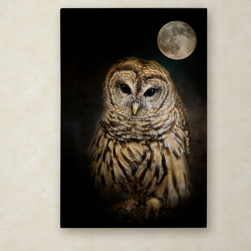 «Barred Owl And the Moon», reproduction d'impression sur toile tendue Vidur, H 47 po x l 30 po
