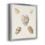 Toile encadrée Pastel Knorr Shells VI - prête à accrocher-141858855-141858852