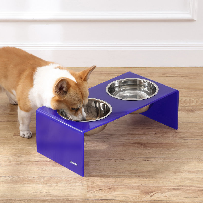 Mangeoire pour animaux Keaton, Moyen (6,76 tasses / 54 oz liquides), Mauve / chrome