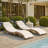 Alois Chaise Lounge Set with Cushion and Table-210628078