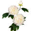 Piquet de jardin Lallage-288111376