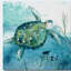 " Delray Sea Turtle I "-1060287583