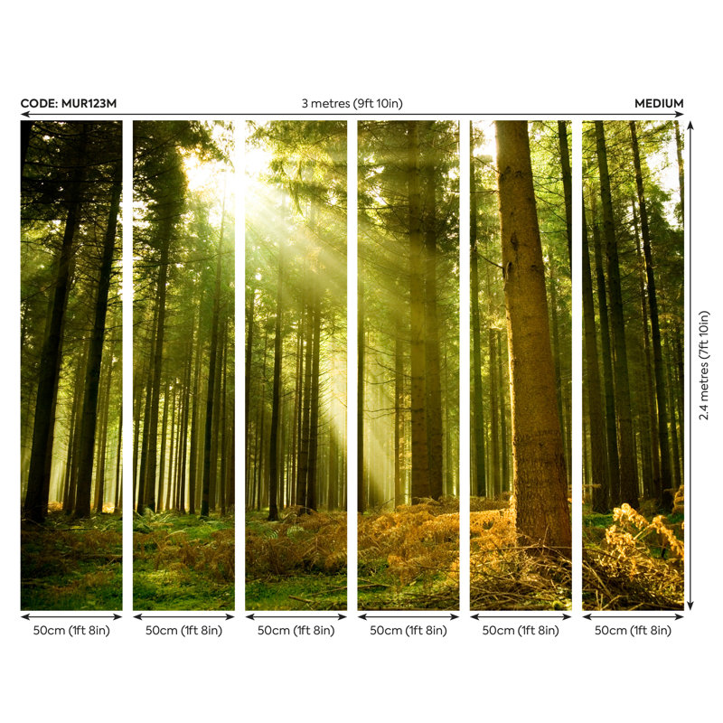 Sunay Matte Wall Mural, 240 cm L x 300 cm W