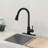 WESTINUS Pull Down Kitchen Faucet-50749891