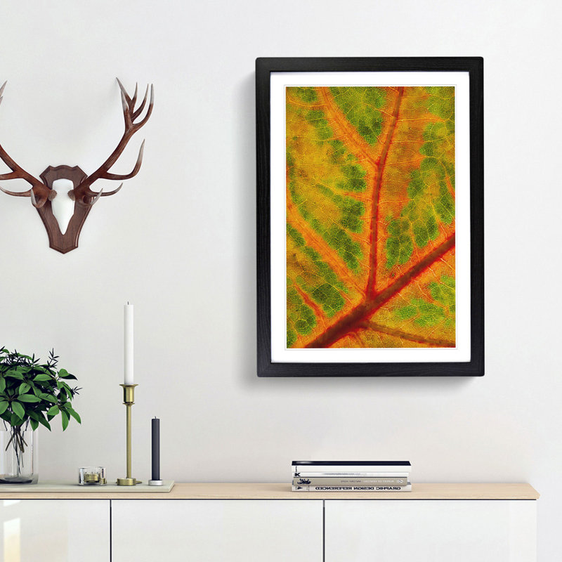 Map of a Leaf - Picture Frame Painting Print, 63cm H x 45cm W x 2cm D, Black Framed