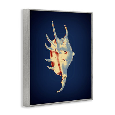  Spider Conch on Blue White Framed Giclee Art by Graffi*tee Studios