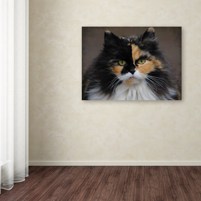 «Calico Cat Portrait» de Vidur, impression sur toile tendue