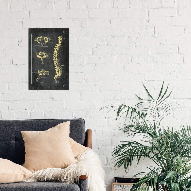 Bones Of The Spine by ChartSmartDecor - Print on Canvas, No Frame, 152.5 cm H x 101.5 cm W x 3.175 cm D