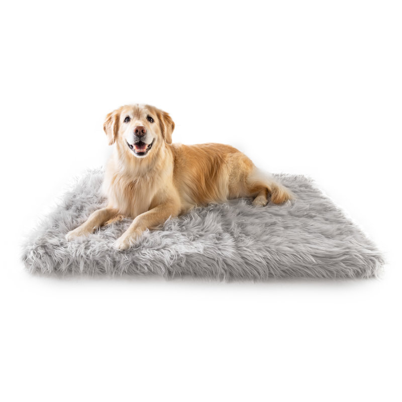  Tapis pour chien Puprug Runner, gris, H 2 po x l 60 po x P 40 po