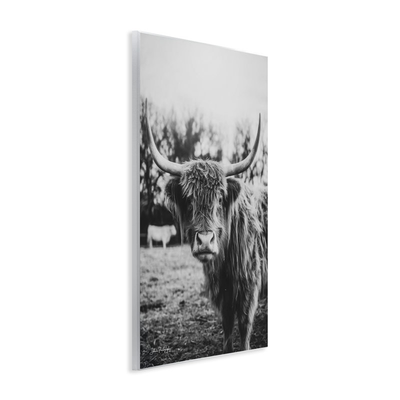 Plaque murale Peering Highland, par Dakota Diener, H 19 po x l 13 po