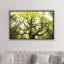 «The Dreamtree» par Stefan Hefele - reproduction de photo-52463953-52463963