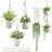 Chyvonne Plant Hanger