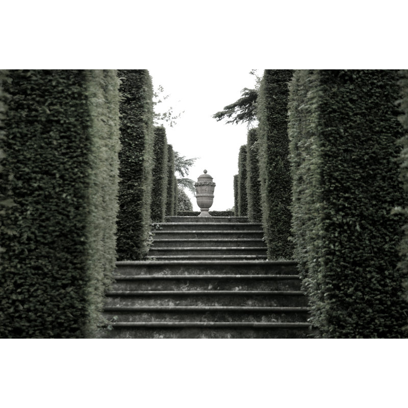 Ascending Elegance Print by Thom Filicia