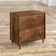 Gerrod 29.53'' Wide 2 -Drawer Mobile File Cabinet