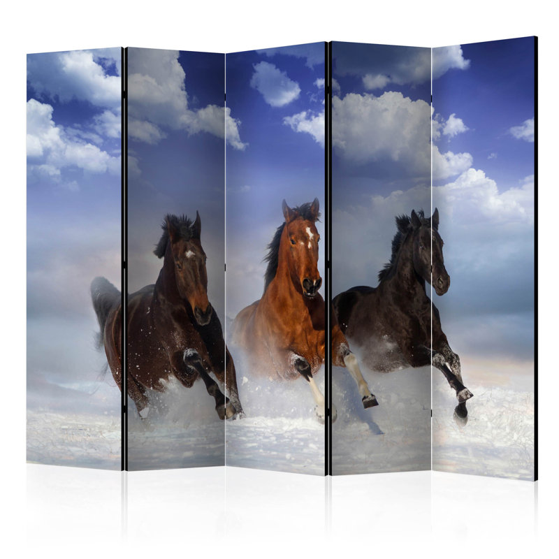 225cm W x 172cm H 5 - Panel Solid Wood Folding Room Divider