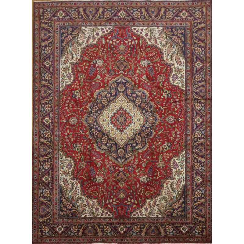 Traditional Area Rug 10x13