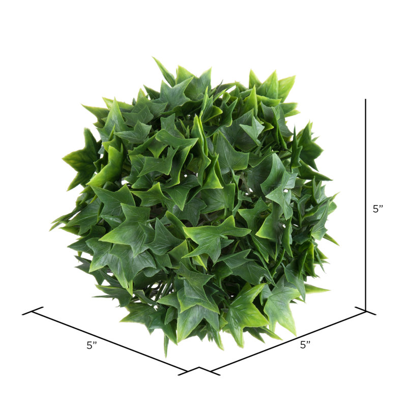 Ensemble 4 pièces de ivy pour plante à mini boule