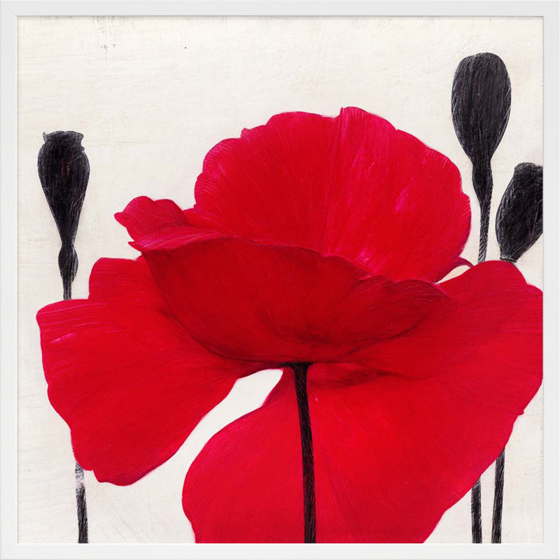 Red Poppy 2 Print by Ivo Stoyanov, 24" H x 24" W x 1.25" D, White