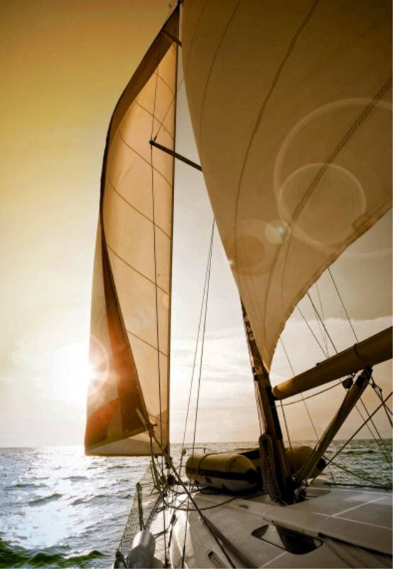 Sunset Sail III Print by Sofia Fox, Outdoor, 45" H x 30" W x 1.5" D