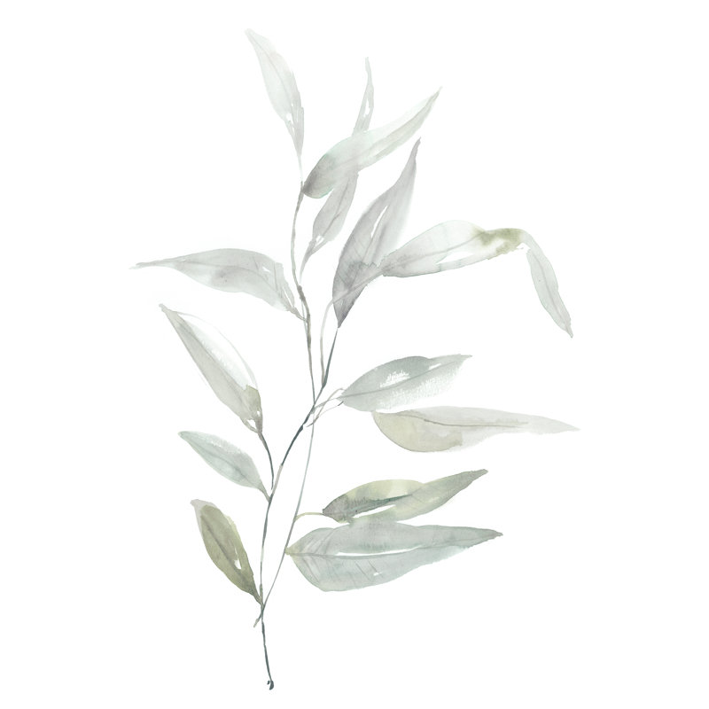 «Ethereal Eucalyptus II» par Jennifer Goldberger, reproduction sur toile tendue, H 48 po x l 32 po