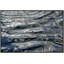 In Motion 1 Print by Barbara DeBord-2013048550