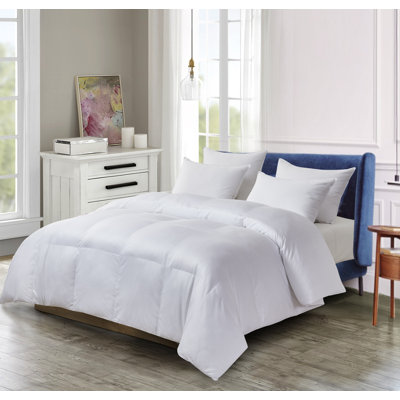Essentials All Season Down Alternative Comforter