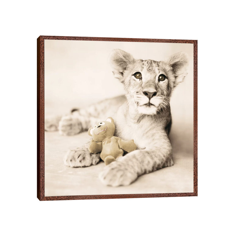 Arjuna And Teddy by Rachael Hale - Print on Canvas, 66.04 cm H x 66.04 cm W, Classic Brown Wood Framed