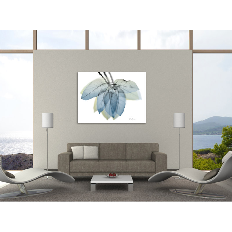 «Focused Ficus Burkey», toile tendue par Albert Koetsier, H 15 po x l 20 po x P 1,5 po