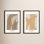 Zabini "Marine Flora 1 and 2" 2-Piece Wall Art Set